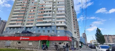 Помещение свободного назначения в Санкт-Петербург Туристская ул., 18к1 ...