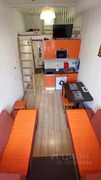 Студия Москва Клинская ул., 8С1 (15.0 м)