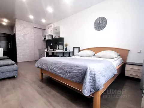 Студия Тульская область, Тула городской округ, с. Осиновая Гора проезд ...