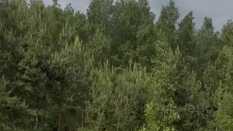 Участок в Московская область, Красногорск городской округ, д. ...