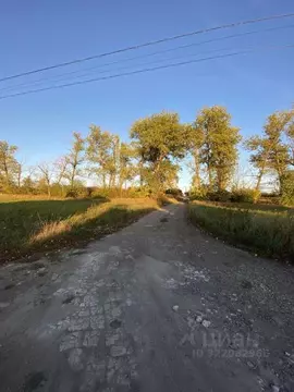 Участок в Белгородская область, Белгородский район, Новосадовское ...