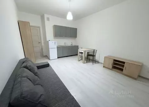 Студия Санкт-Петербург ул. Верхне-Каменская, 11к1 (25.0 м)