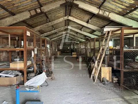 Склад в Татарстан, Зеленодольск Кооперативная ул., 1к1 (320 м)