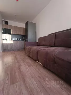 1-к кв. Санкт-Петербург дор. Муринская, 27к3 (31.0 м)