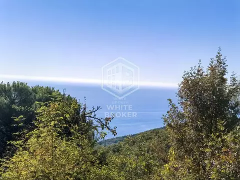 Участок в Крым, Алушта муниципальный округ, с. Виноградное 3 (8.0 ...