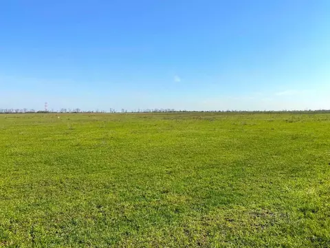 Участок в Крым, Симферопольский район, Николаевка пгт ул. Лесная (6.0 ...