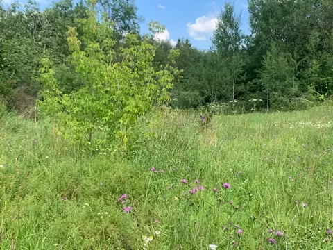 Участок в Московская область, Истра муниципальный округ, с. Онуфриево  ...