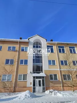 Студия Ленинградская область, Всеволожск Степной просп., 16к1 (21.4 м)