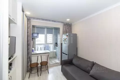 Студия Тюменская область, Тюмень ул. Новоселов, 115 (15.8 м)