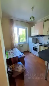 1-к кв. Иркутская область, Иркутск ул. Розы Люксембург, 283 (31.0 м)