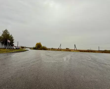 Участок в Татарстан, Пестречинский район, Богородское с/пос, с. ...