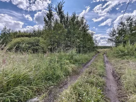 Участок в Тюменская область, Нижнетавдинский муниципальный округ, ...