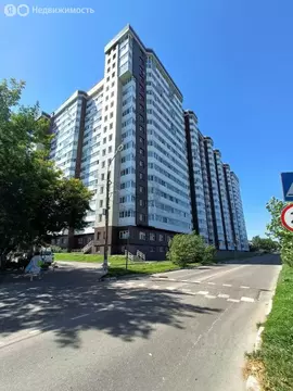 Квартира-студия: Старая Купавна, Октябрьская улица, 14А (27.7 м)