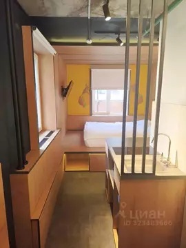 Студия Санкт-Петербург Большой Сампсониевский просп., 74к2 (16.0 м)