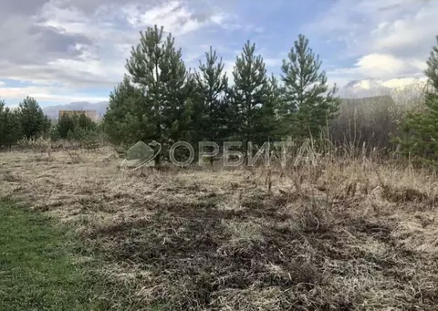 Участок в Тюменская область, Нижнетавдинский муниципальный округ, д. ...