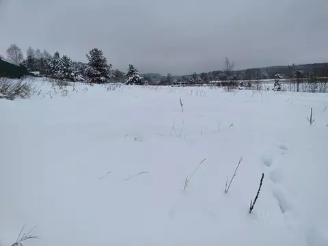 Участок в Московская область, Лотошино муниципальный округ, д. ...