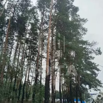 Участок в Воронеж, СНТ Берёзка (12 м)