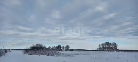 Участок в Новосибирская область, Мошковский район, с. Томилово  (99.98 ...