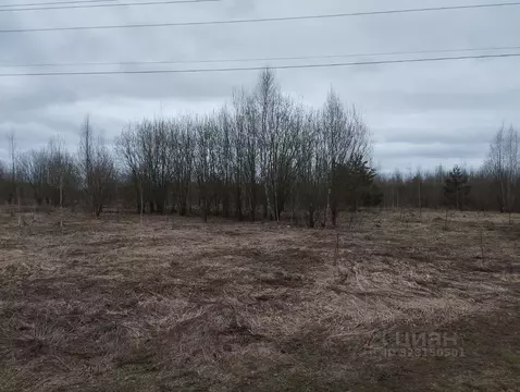 Участок в Нижегородская область, с. Безводное  (10.0 сот.)