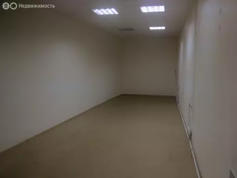 Офис (53.9 м)