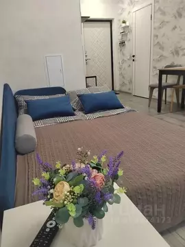 Студия Краснодарский край, Новороссийск Цемдолина тер., ул. Красина, ...