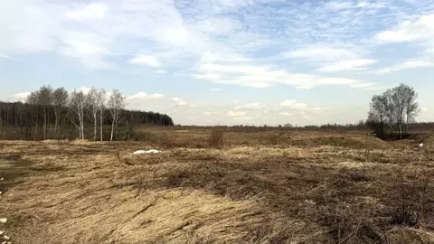 Участок, 11.1 сот., поселения (ижс)