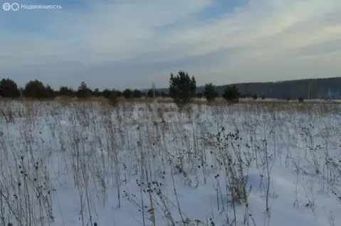 Участок в Раздольненский сельсовет, садоводческое товарищество Медик, ...