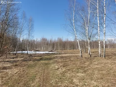 Участок в Московская область, Раменский муниципальный округ, КП РАОС ...