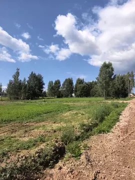 Участок в Московская область, Одинцовский городской округ, Каретный ...