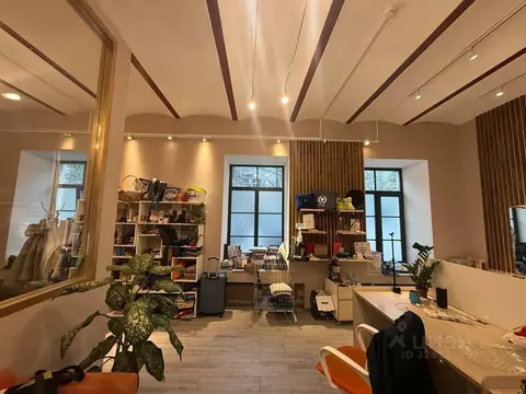 Помещение свободного назначения в Санкт-Петербург Аптекарский пер., 1 ...