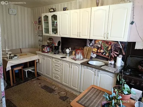 3-комнатная квартира: село Черемшанка, Новая улица, 5 (50.4 м)
