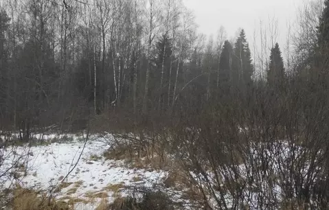 Участок в Московская область, Дмитровский муниципальный округ, д. ...