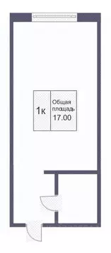 Студия Кемеровская область, Кемерово Инициативная ул., 27а (16.8 м)