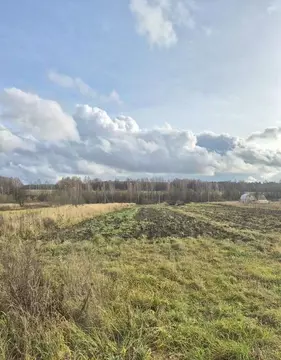 Участок в Московская область, Чехов муниципальный округ, д. Першино  ...