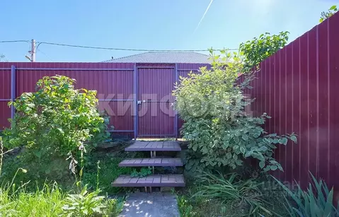 Дом в Новосибирская область, Новосибирск ул. Побежимова (67 м)