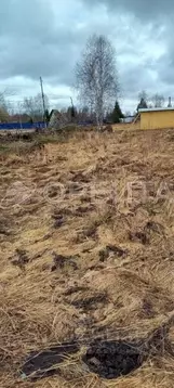 Участок в Тюменская область, Нижнетавдинский муниципальный округ, ...