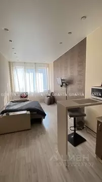 Студия Красноярский край, Красноярск ул. Вильского, 16 (30.0 м)