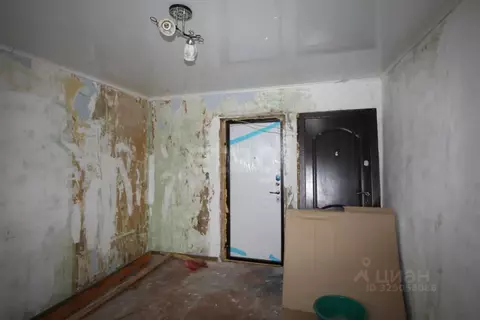 Комната Вологодская область, Шексна рп, Шексна Северная мкр ул. ...