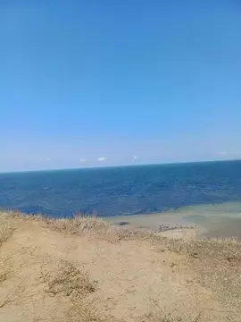 Участок в Крым, Ленинский район, Семисотское с/пос, с. Каменское  (6.0 ...