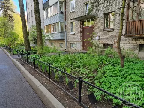 1-к кв. Санкт-Петербург, Санкт-Петербург, Пушкин Оранжерейная ул., 62 ...