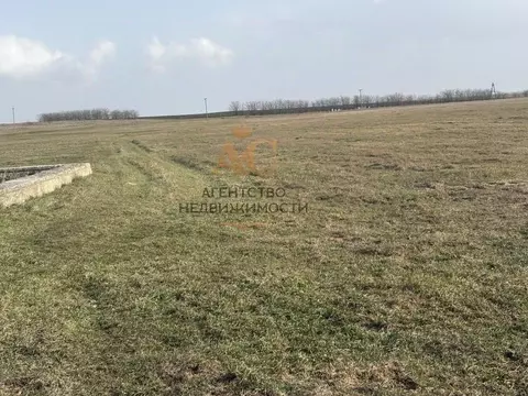 Участок в Крым, Кировский район, Синицынское с/пос, с. Васильковое ул. ...