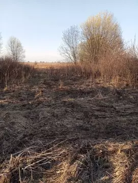 Участок в Кировская область, Яранское городское поселение, Садовые ...