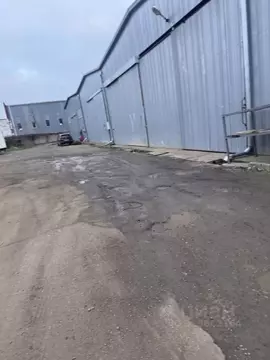 Помещение свободного назначения в Краснодарский край, Краснодар ул. ...