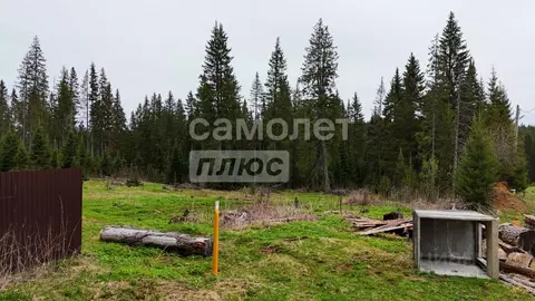 Участок в Челябинская область, Нязепетровск ул. Мира (15.0 сот.)