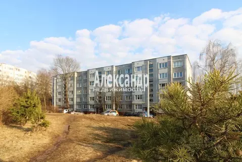 2-к кв. Ленинградская область, Выборг Приморское ш., 26 (52.7 м)