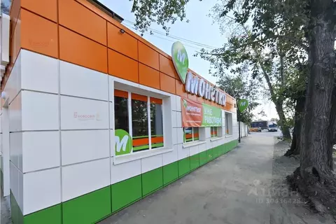 Торговая площадь в Свердловская область, Екатеринбург ул. Альпинистов, ...