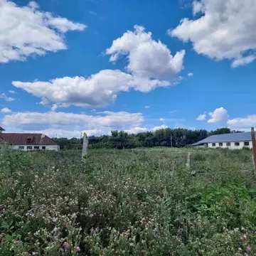 Участок в Воронежская область, Новоусманский район, с. Хлебное ул. 8 ...