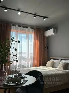 Студия Самарская область, Самара ул. Петра Алабина, 4 (18.0 м)