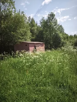 Участок в Ленинградская область, Тосненский район, Рябовское городское ...