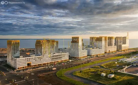 3-комнатная квартира: Санкт-Петербург, улица Челюскина, 4 (88.9 м)